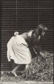 Plate 458 Lifting handfuls of hay, turning and throwing it down — figure reference